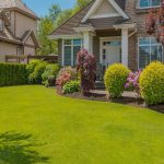 Elevate Your Home's Beauty: Collaborating with Professional Landscape Designers